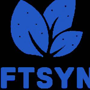 Softsynth Software Solutions Softsynth